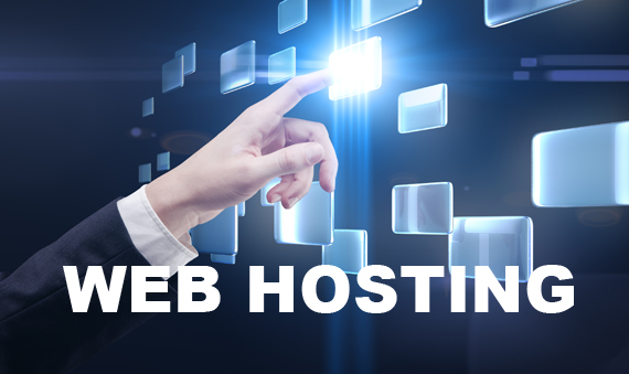 What Type Of Business Web Hosting Do I Need?