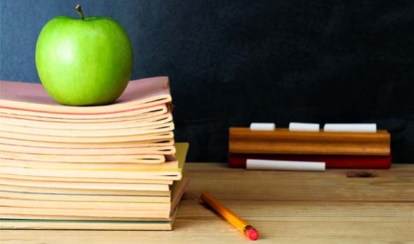 The Education Role In Turkey