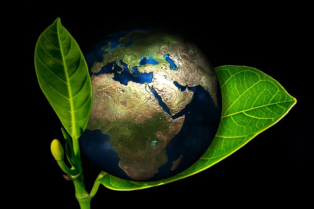 New Ways For Small Businesses To Go Green