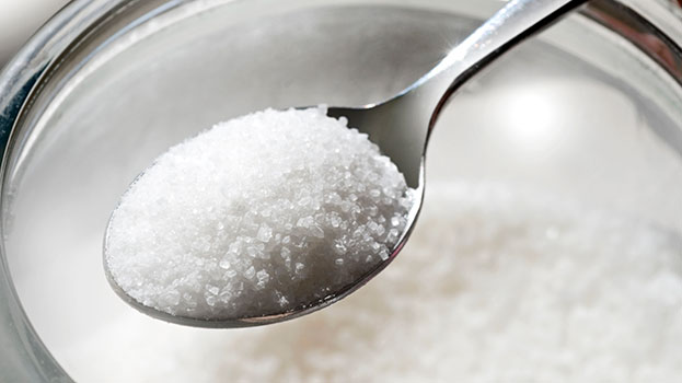 The Role Of Sugar In The Diet