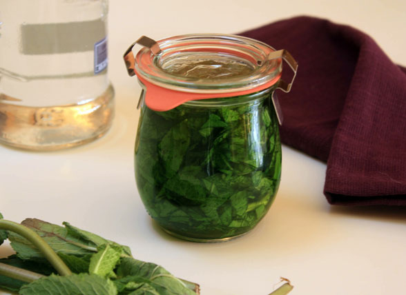 Make Your Own Homemade Peppermint Extract Easy