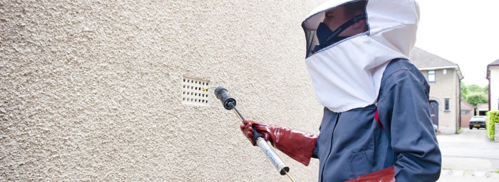 How Do Pest Controllers Help In Getting Rid Of Pests?