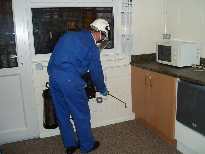 Splendid Pest Controllers In Essex: Amazing Results With Budget Friendly Price