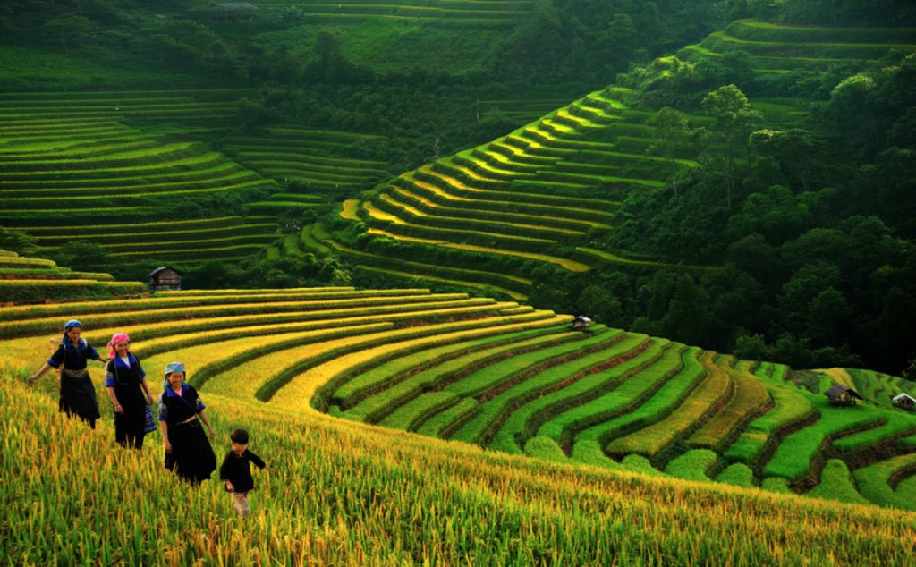North Vietnam Tours And Travel With Best Vietnamese Local Agency