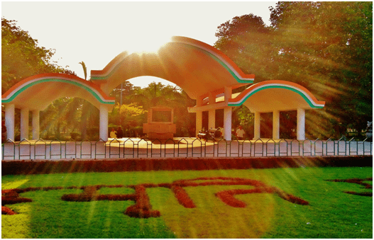 Parks and Gardens In Chandigarh That You Must Visit