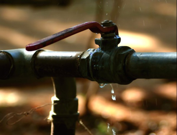 Plumbing Leaks Attract Household Pests
