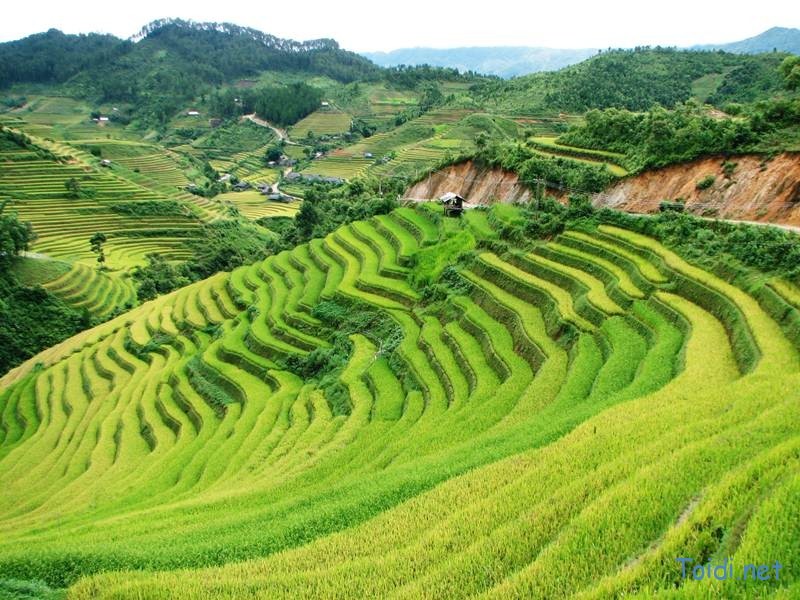 Vietnam travel tours