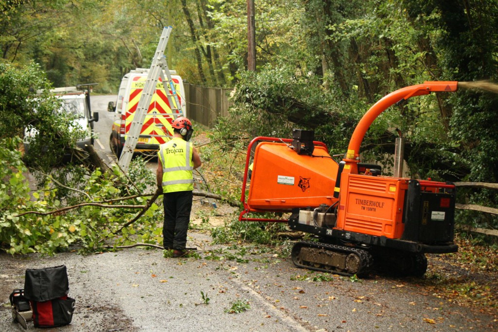 Hire Experienced Tree Surgeons For Providing Nourishment To Your Plants