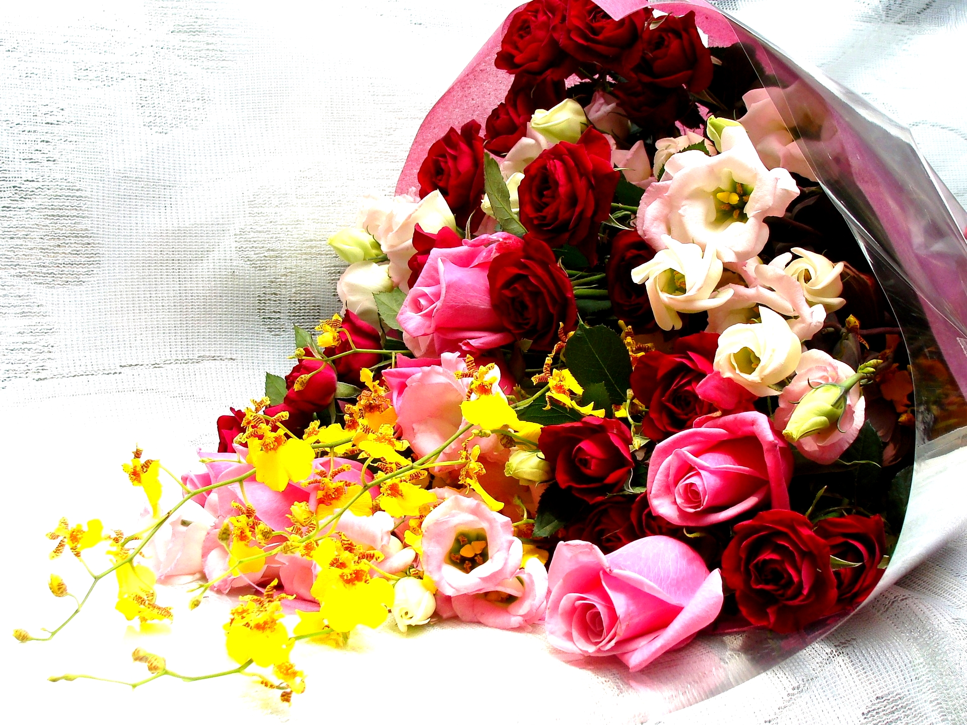 Relationships Remain Fresh Forever With Flowers
