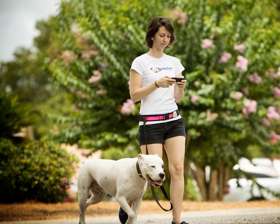 Must-Have Gifts For Dog-Walkers