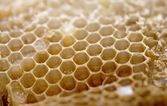 Top 6 Benefits Of Beeswax For Hair And Skin