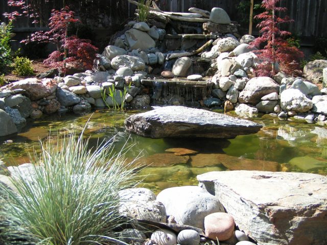 The Beauty And Benefits Of Backyard Water Features