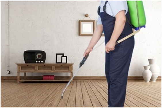 Importance Of Hiring The Pest Control Service