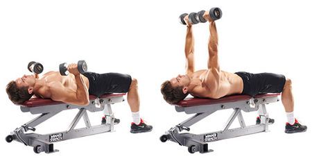 A Guide To Building Your Best Body With Adjustable Dumbbells