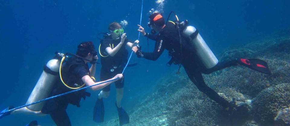 Best Scuba Diving in Indonesia
