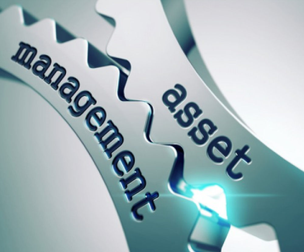Asset Management Solutions For Your Business