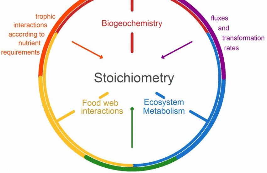 AP Chemistry: Stoichiometry