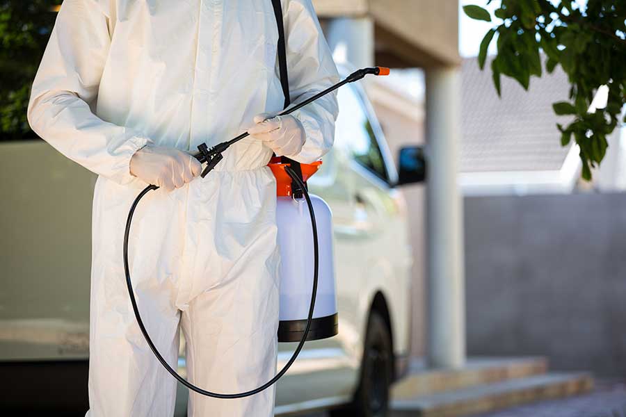 Hiring A Pest Control Company In Jacksonville AR? Few Top Signs Of A Professional Exterminator