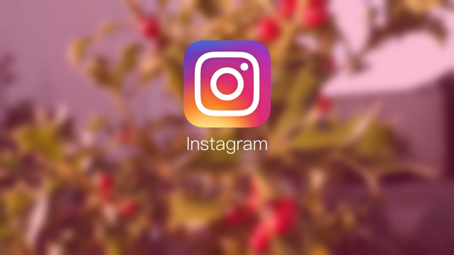 Important Tips to Boost Your Following on the Popular Instagram Platform