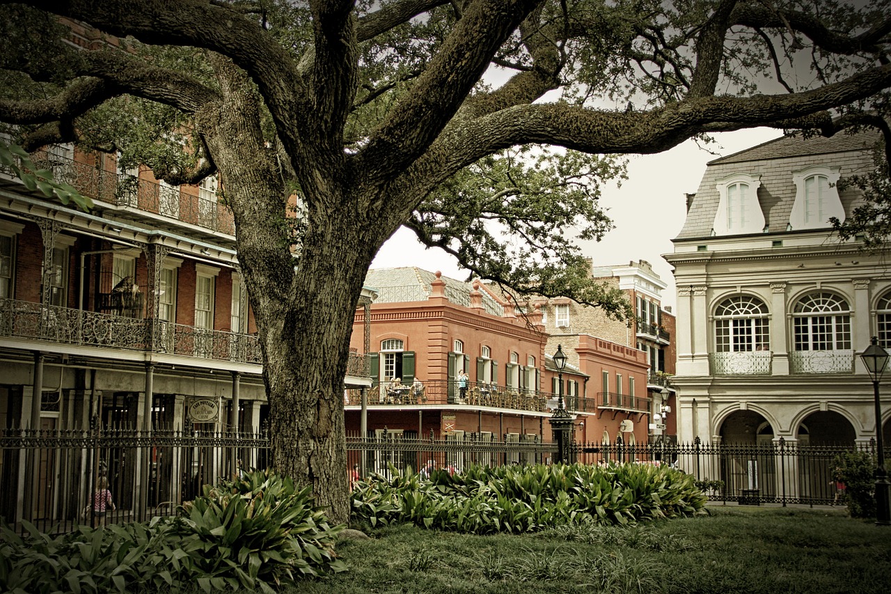 4 Top Things to do in New Orleans