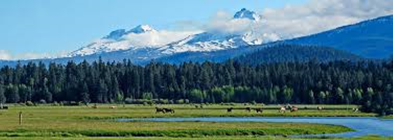 What Are The Most Green-Friendly Home Lighting Options?