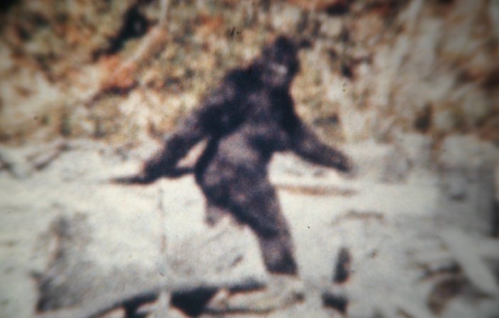 LUX-PRO TACTICAL LED FLASHLIGHT: SCANNING FOR SASQUATCH