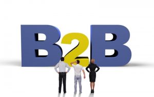 B2B ecommerce platform