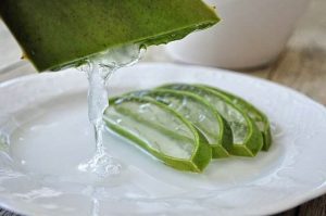 Universal Aloe Vera Oil Benefits