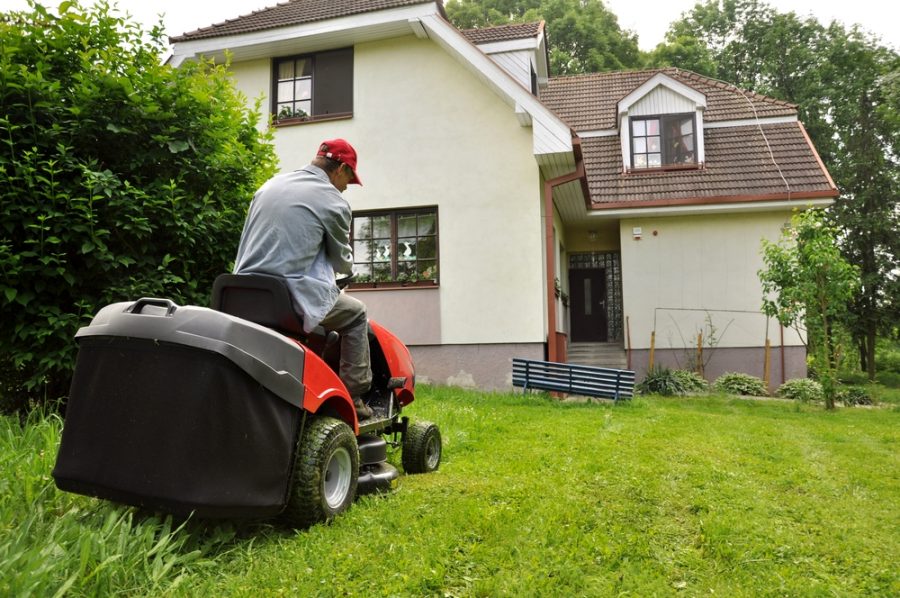 8 Important Lawn Care Tasks For The Summer