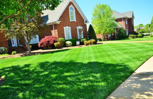 A Yard Owner’s Guide to Professional Landscaping