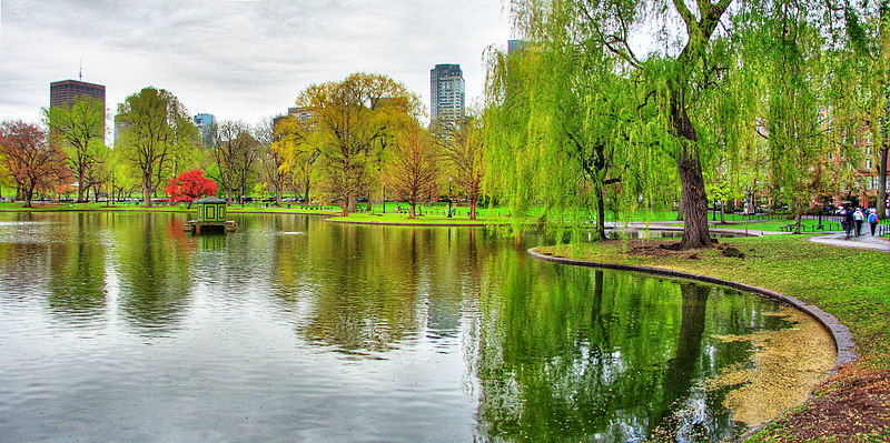 Green Areas In Boston: 5 Perfect Sights to Enjoy by Car