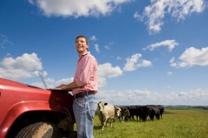 How to Improve Cattle Record Keeping