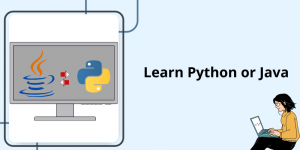 learn java or python
